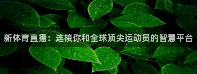 新体育直播：连接你和全球顶尖运动员的智慧平台