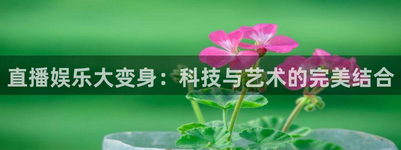 直播娱乐大变身：科技与艺术的完美结合
