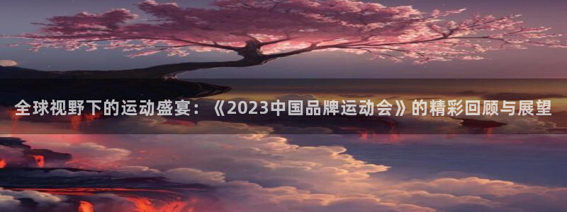 全球视野下的运动盛宴：《2023中国品牌运动会》的精彩回顾与展望