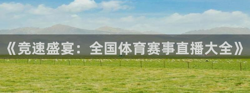 《竞速盛宴：全国体育赛事直播大全》