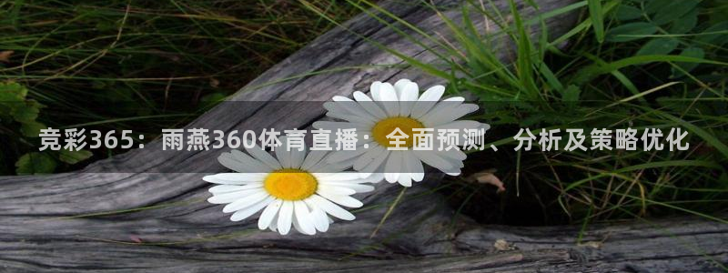 竞彩365：雨燕360体育直播：全面预测、分析及策略优化